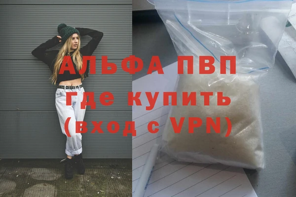индика Волосово