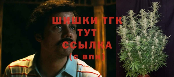 индика Волосово