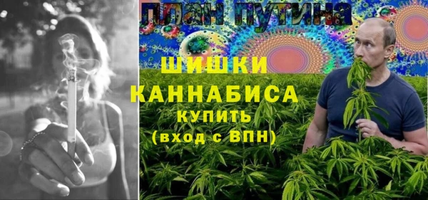 индика Волосово