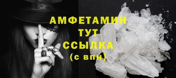 индика Волосово