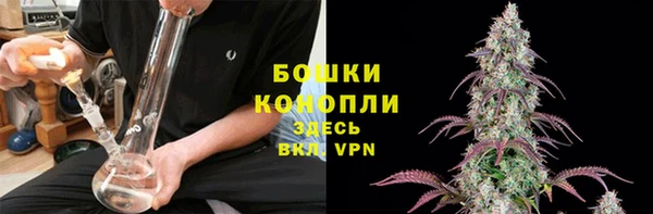 индика Волосово