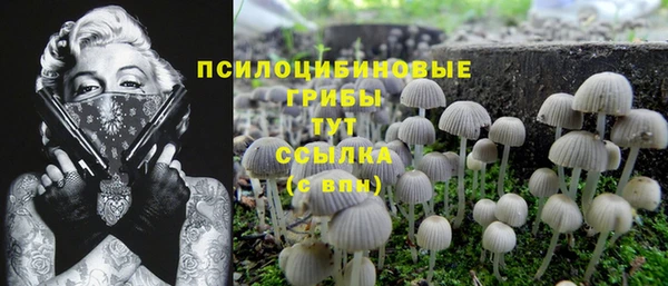 индика Волосово
