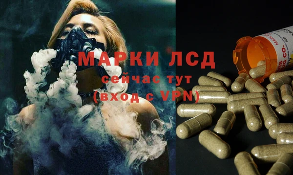 индика Волосово